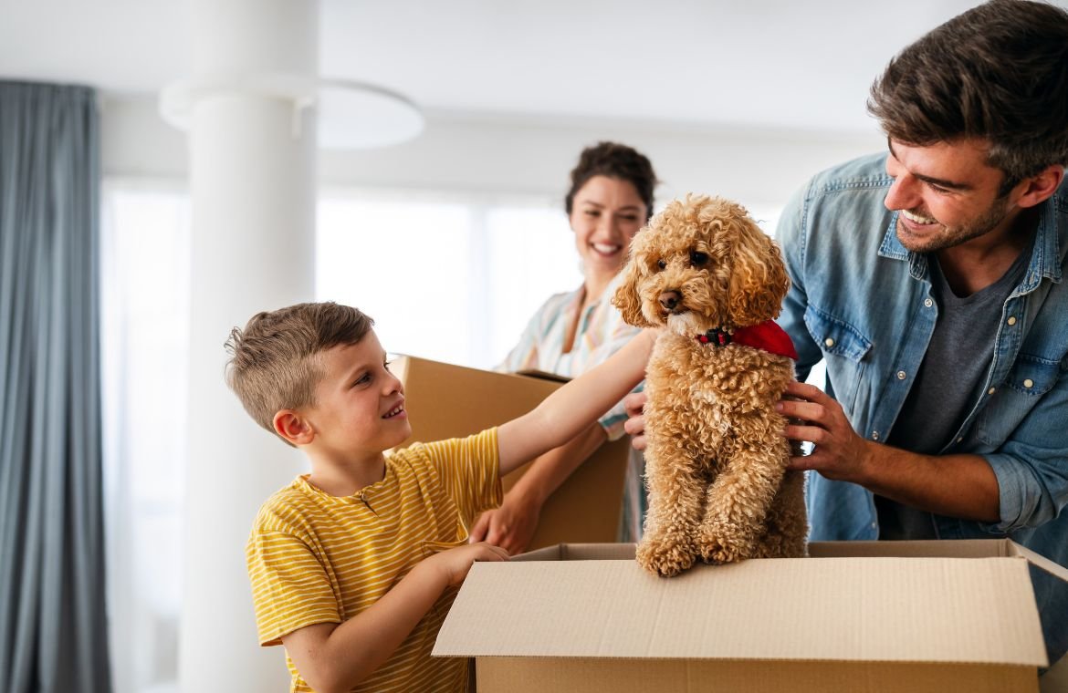 <strong>Jak przygotować zwierzęta na przeprowadzkę? – Sprawdzone metody</strong>